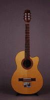 guitar_photo