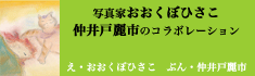 �L�̎���